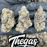 TOAD VENOM - SS324TV