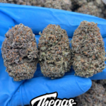 GELATO PUSH POP – AB65941