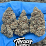 BREAKDOWN HASH BURGER- UN332BA