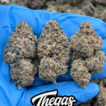 INTERSTELLAR – AB77162