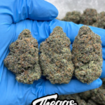 ORANGE PUSH POP – AB50692