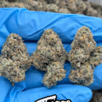 LEMON POP GELATO – AB48371