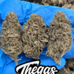 AGENT ORANGE - SS324AO