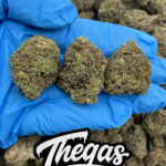 WEDDING CRASHERS - SS324WC