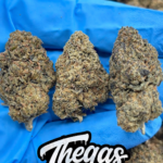 PURPLE SKITTLES - SS324PS